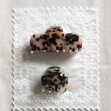 Dalmatian Bundle